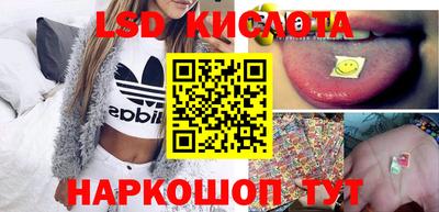 молекула духа Донской