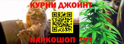 прущие грибы Заволжье