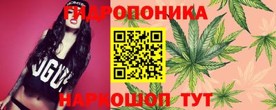 прущие грибы Заволжье