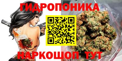 Альфа ПВП Жуковский